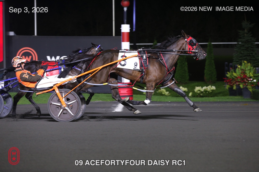 ACEFORTYFOUR DAISY