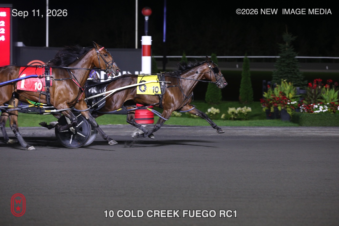 COLD CREEK FUEGO