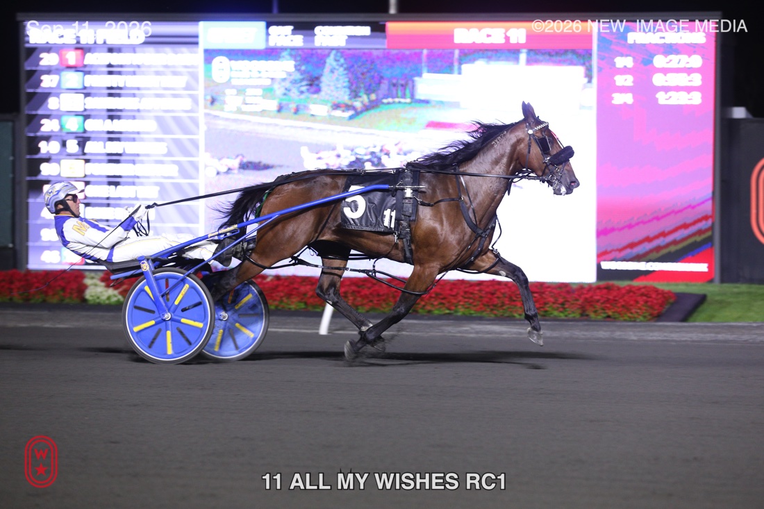 ALL MY WISHES