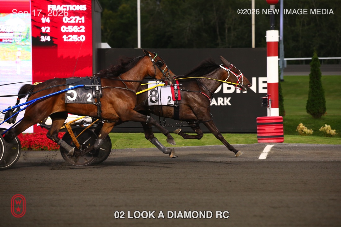 LOOK A DIAMOND