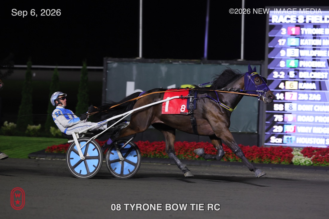 TYRONE BOW TIE
