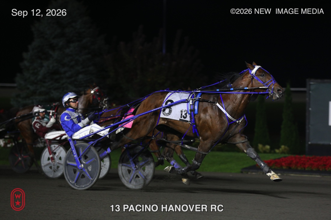 PACINO HANOVER