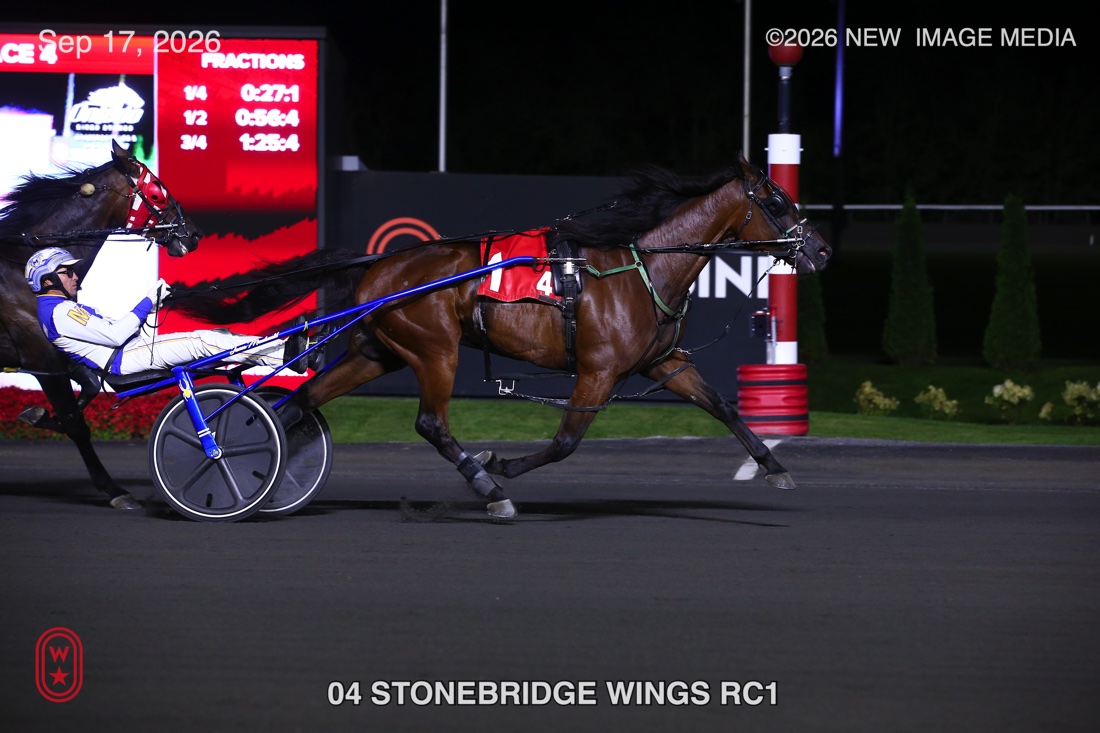 STONEBRIDGE WINGS