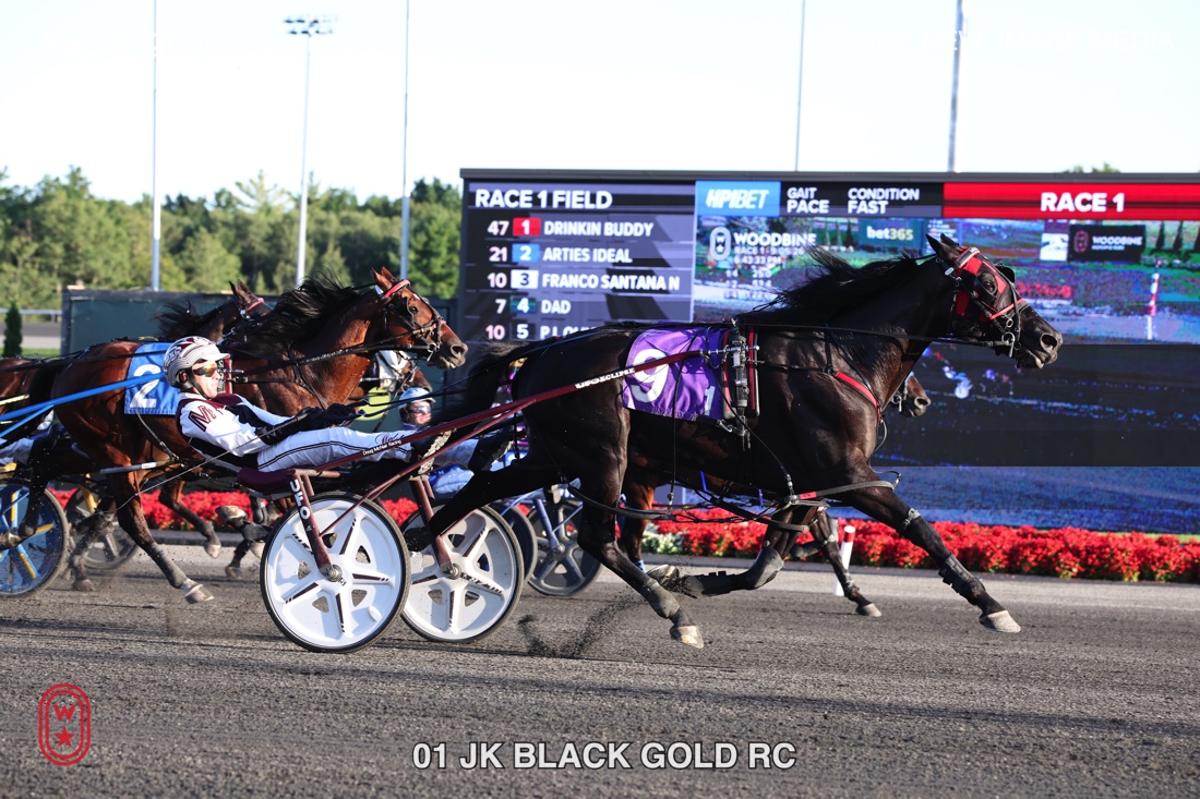 JK BLACK GOLD