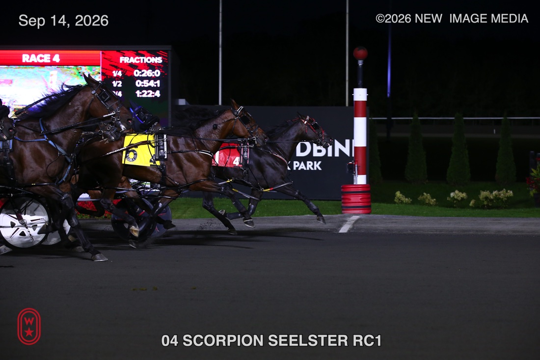 SCORPION SEELSTER