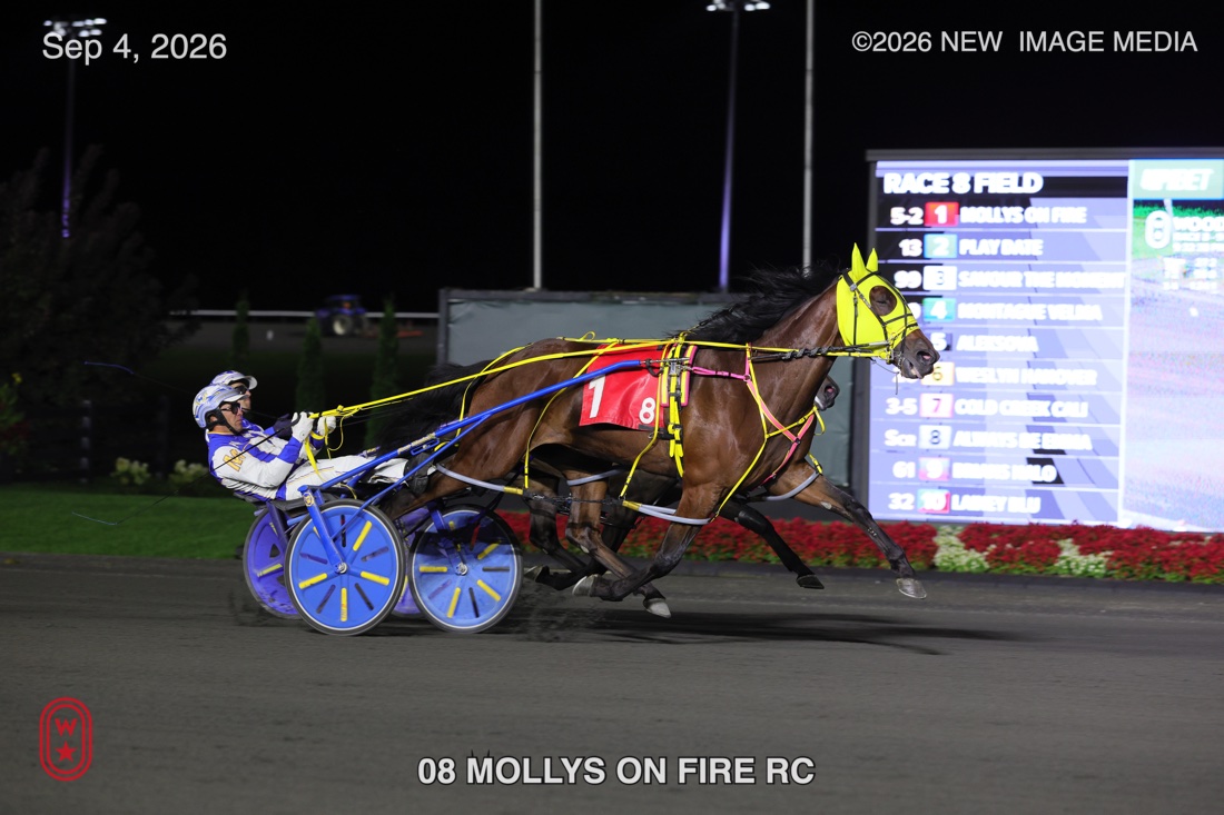 MOLLYS ON FIRE